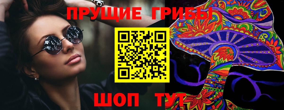 Псилоцибиновые грибы Psilocybe Клинцы