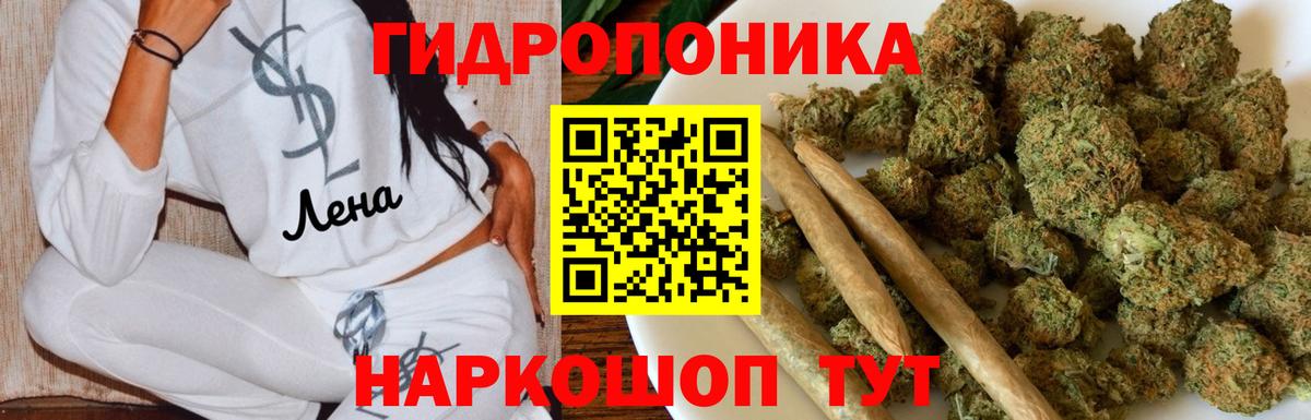 МАРИХУАНА сатива Клинцы